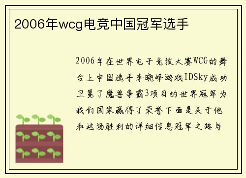 2006年wcg电竞中国冠军选手